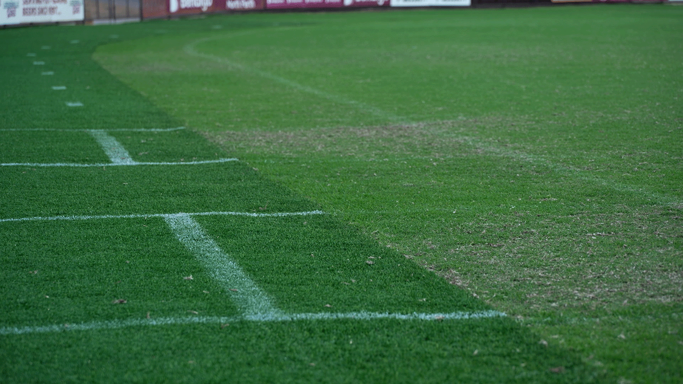 A close up of the new turf at Leederville oval