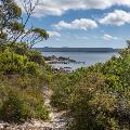 camp-quaranup-trails