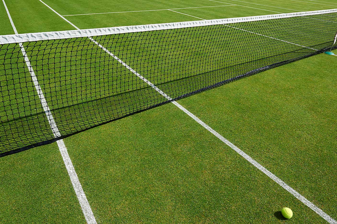A tennis court and ball
